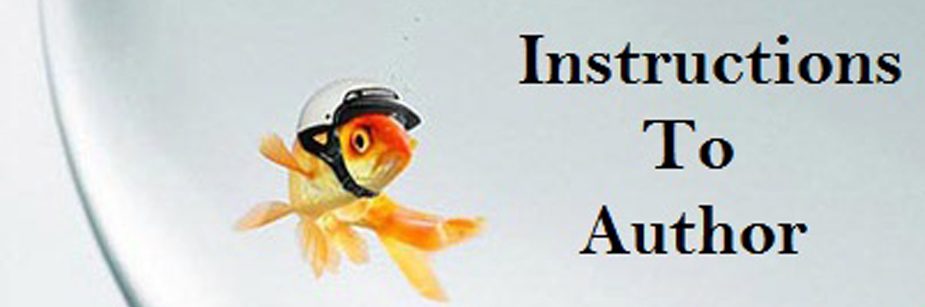 InstructionsToAuthor